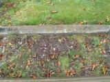 image of grave number 314040